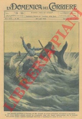 Beltrame nel mar grande - beltrame,